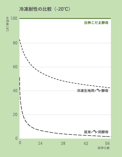 白神こだま酵母ドライ