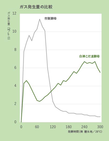 白神こだま酵母ドライ